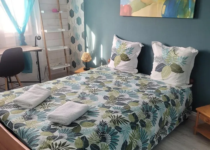 Proche Espace Anjou Appartement Angers